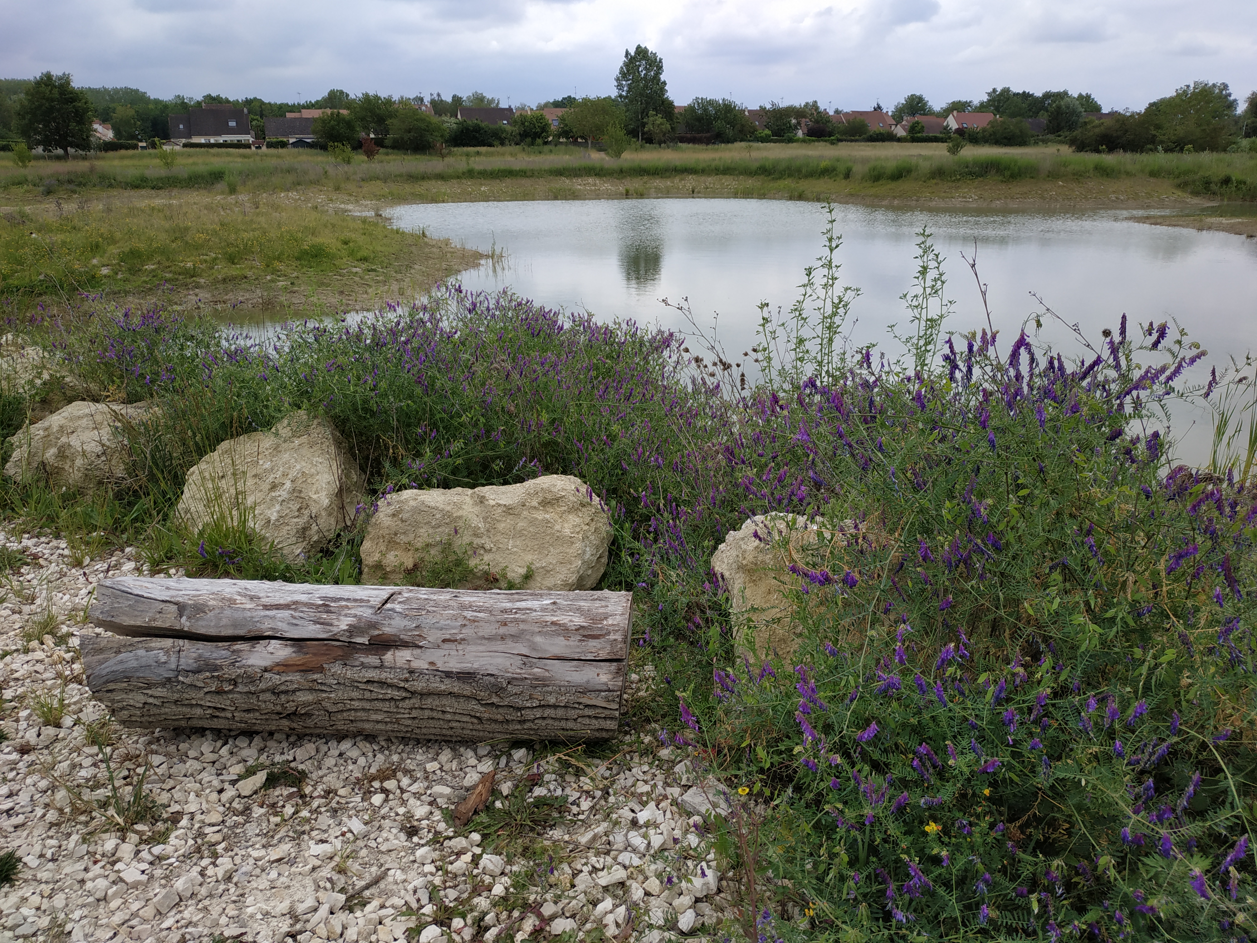 Le plan d'eau de la Zone de Biodiversit&eacute; de la Rosi&egrave;re | L ...