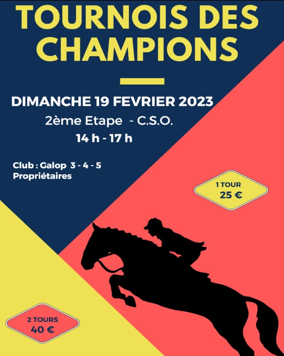 CHEVAUX PLAQUE CONCOURS HIPPIQUE 4éme Prix Tournoi Lyonnais Dauphine