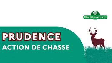 chasse