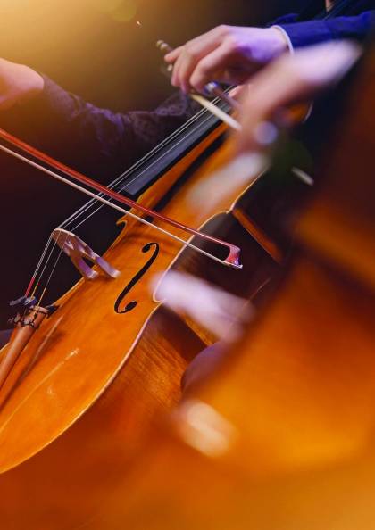 FLÛTE ET TRIO À CORDES DU VEXIN