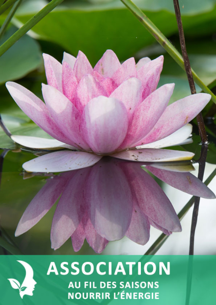 créer sa fleur de vie