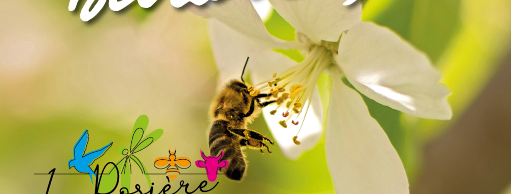 Fête de la nature 2025