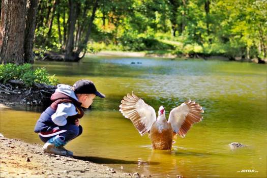 Etang des Trois Sources