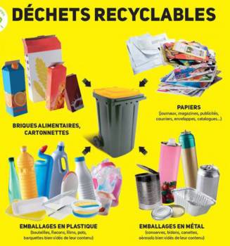 Collecte des ordures et déchets ménagers