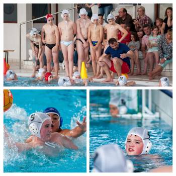 Association sportive Val-d'Oise water-polo (ASVO)