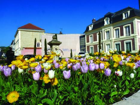 Plantations / serre municipale