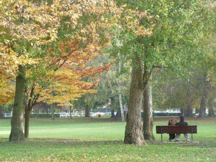 Parc Manchez