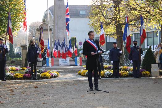 11 novembre