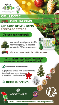 collecte sapin