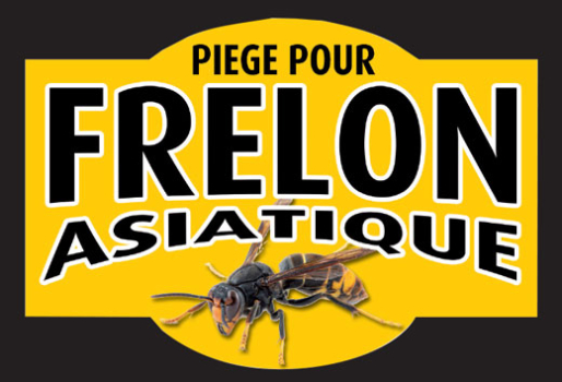 piege_frelon