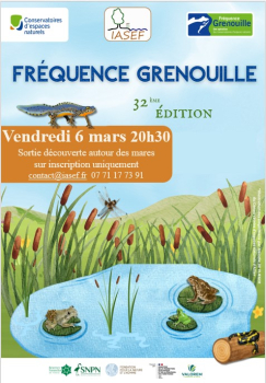 Fréquence grenouille