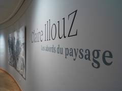 Exposition Claire Illouz. Les abords du paysage