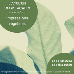 L'Atelier du mercredi - Impressions végétales