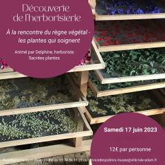 Atelier Découverte Herboristerie 17 juin 2023