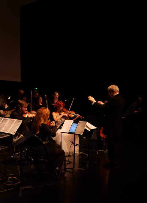 cinéconcert aida 