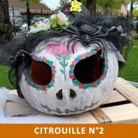 Citrouille n°2