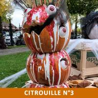 Citrouille n°3