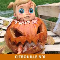 Citrouille n°6