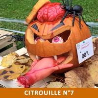 Citrouille n°7