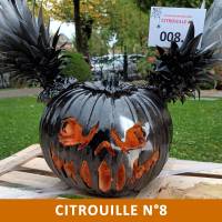 Citrouille n°8