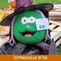 Citrouille n°10