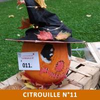 Citrouille n°11