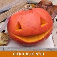 Citrouille n°13