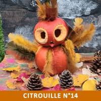 Citrouille n°14