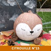 Citrouille n°15