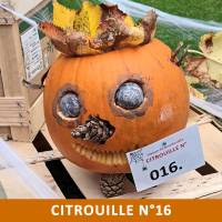 Citrouille n°16