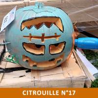 Citrouille n°17