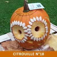 Citrouille n°18