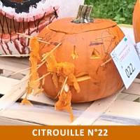 Citrouille n°22