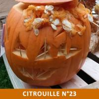 Citrouille n°23