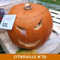 Citrouille n°25