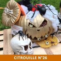 Citrouille n°26