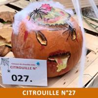 Citrouille n°27