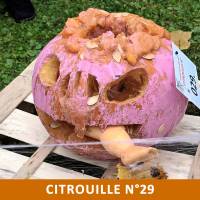 Citrouille n°29