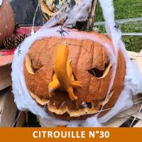 Citrouille n°30