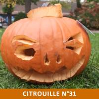 Citrouille n°31