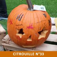 Citrouille n°33