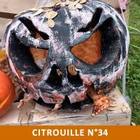 Citrouille n°34