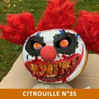 Citrouille n°35