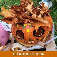 Citrouille n°36