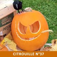 Citrouille n°37