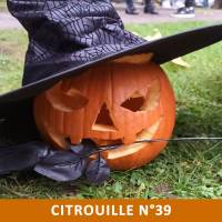 Citrouille n°39