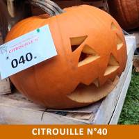 Citrouille n°40