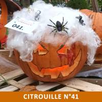 Citrouille n°41