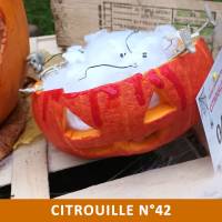 Citrouille n°42