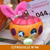 Citrouille n°44